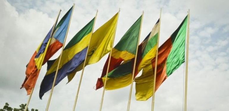 Cameroun : Vers une libre circulation sans visa en CEMAC
