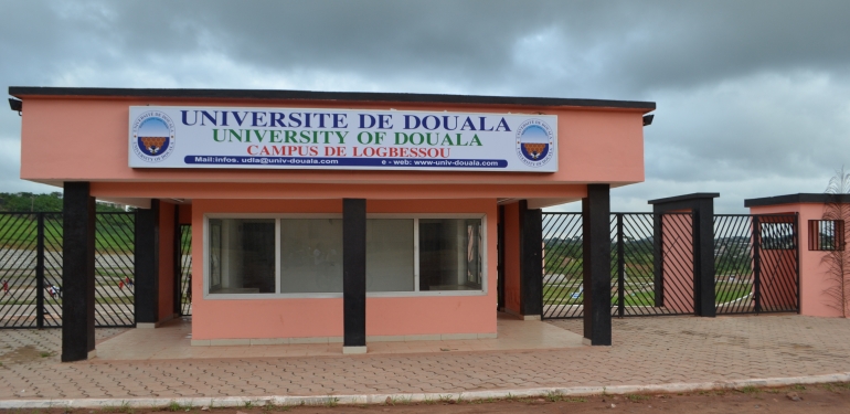 Université de Douala : Les Enseignants du Synes en Grève