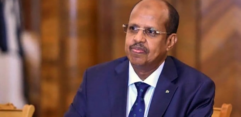Mahmoud Ali Youssouf Un diplomate chevronné aux commandes