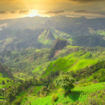 8424_285_page-28-Mont-Bamboutos-PRDC
