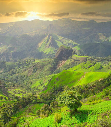 8424_285_page-28-Mont-Bamboutos-PRDC